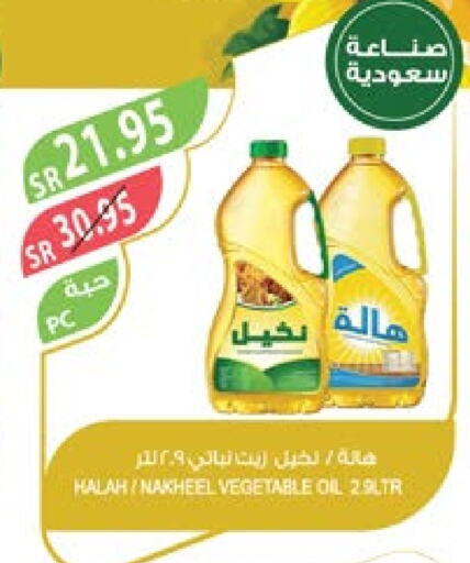 HALAH Vegetable Oil  in Farm  in KSA, Saudi Arabia, Saudi - Al Bahah