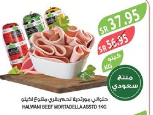  Beef  in Farm  in KSA, Saudi Arabia, Saudi - Al Hasa