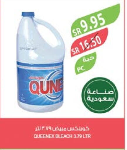 QUEENEX Bleach  in Farm  in KSA, Saudi Arabia, Saudi - Riyadh