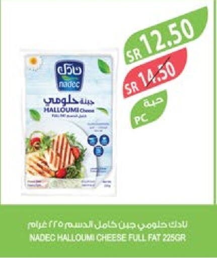 NADEC Halloumi  in Farm  in KSA, Saudi Arabia, Saudi - Jeddah