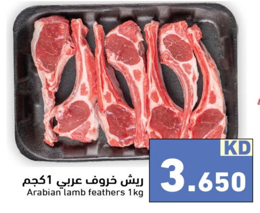  Mutton / Lamb  in Ramez in Kuwait - Jahra Governorate