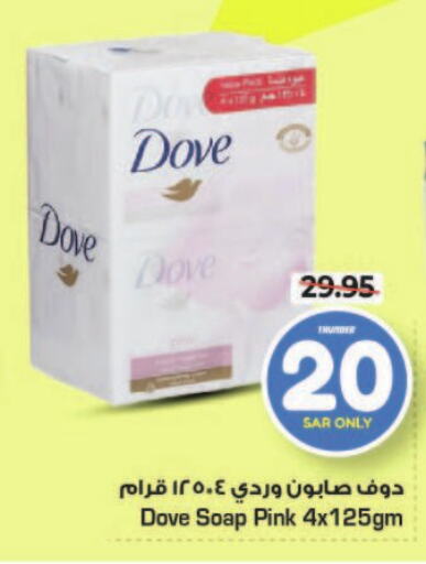 DOVE   in Nesto in KSA, Saudi Arabia, Saudi - Riyadh