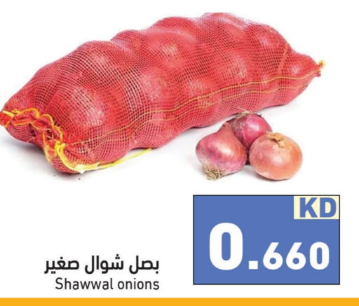  Onion  in Ramez in Kuwait - Ahmadi Governorate