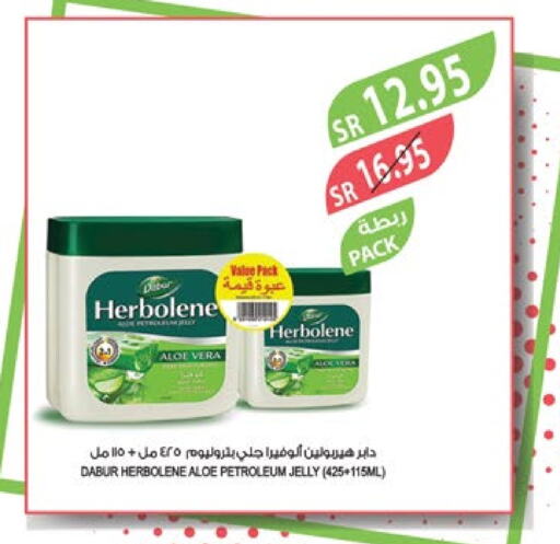 DABUR Petroleum Jelly  in Farm  in KSA, Saudi Arabia, Saudi - Al Bahah