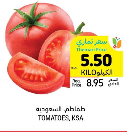  Tomato  in Tamimi Market in KSA, Saudi Arabia, Saudi - Medina