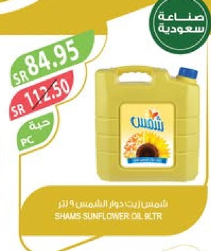 SHAMS Sunflower Oil  in Farm  in KSA, Saudi Arabia, Saudi - Abha