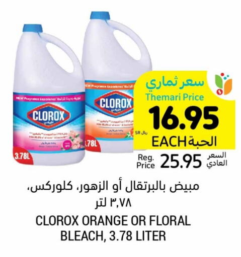 CLOROX Bleach  in Tamimi Market in KSA, Saudi Arabia, Saudi - Jeddah