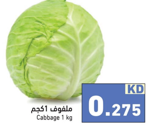  Cabbage  in Ramez in Kuwait - Ahmadi Governorate