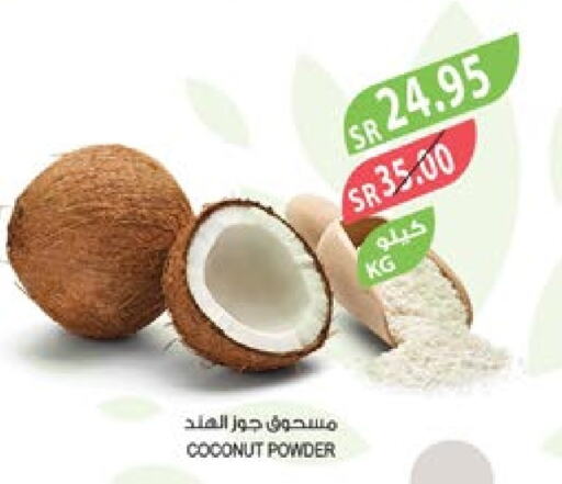  Coconut Powder  in Farm  in KSA, Saudi Arabia, Saudi - Al Bahah