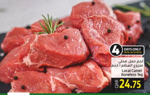  Camel meat  in Gulf Food Center in Qatar - Al-Shahaniya