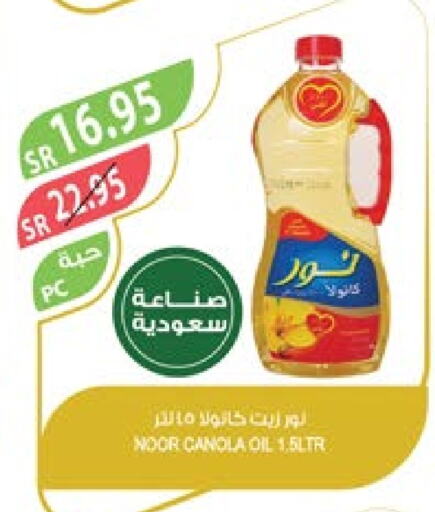 NOOR Canola Oil  in Farm  in KSA, Saudi Arabia, Saudi - Al Bahah