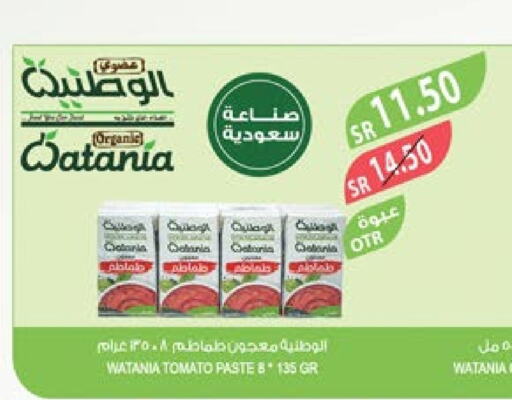  Tomato Paste  in Farm  in KSA, Saudi Arabia, Saudi - Al Bahah