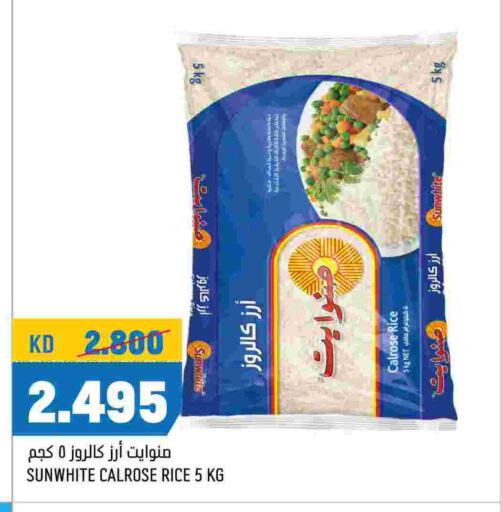  Calrose Rice  in Oncost in Kuwait - Kuwait City