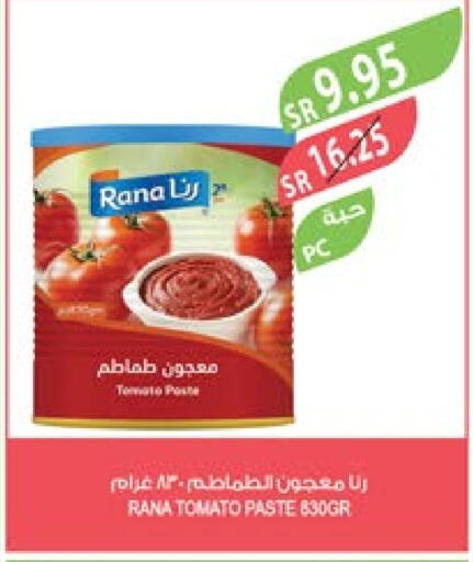  Tomato Paste  in Farm  in KSA, Saudi Arabia, Saudi - Al Bahah