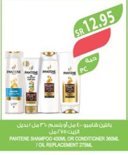 PANTENE Shampoo / Conditioner  in Farm  in KSA, Saudi Arabia, Saudi - Al Bahah