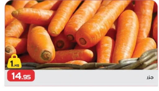  Carrot  in  Zahran Market in Egypt - Cairo