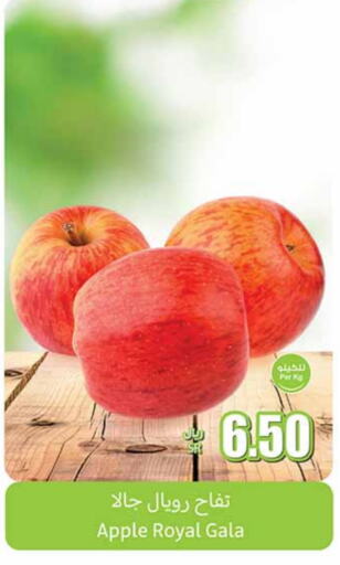  Apples  in Othaim Markets in KSA, Saudi Arabia, Saudi - Wadi ad Dawasir