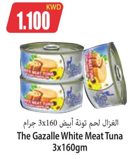  Tuna - Canned  in Locost Supermarket in Kuwait - Kuwait City