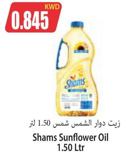  Sunflower Oil  in Locost Supermarket in Kuwait - Kuwait City