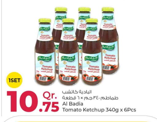  Tomato Ketchup  in Rawabi Hypermarkets in Qatar - Umm Salal