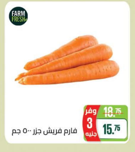  Carrot  in Seoudi Supermarket in Egypt - Cairo