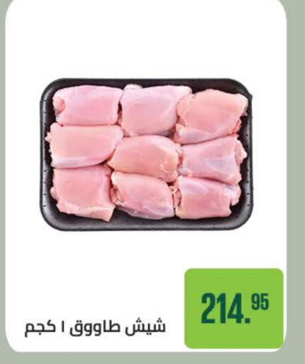  Shish Tawouk  in Seoudi Supermarket in Egypt - Cairo