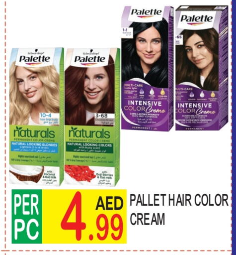 PALETTE Hair Cream  in Dream Land in UAE - Dubai