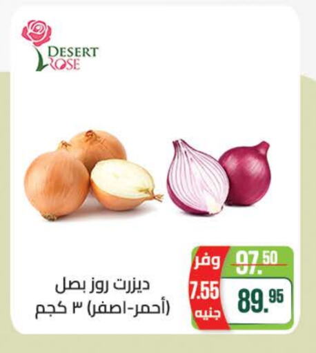  Onion  in Seoudi Supermarket in Egypt - Cairo