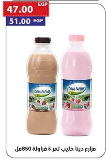  Flavoured Milk  in Al-Allaf Market in Egypt - Cairo