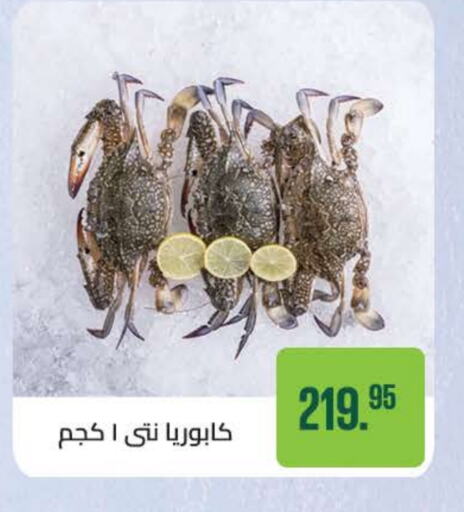    in سعودي سوبرماركت in Egypt - القاهرة