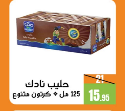 NADEC Flavoured Milk  in Sanam Supermarket in KSA, Saudi Arabia, Saudi - Mecca