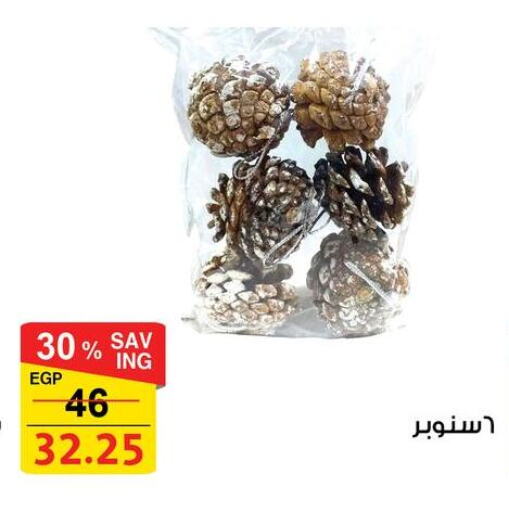 available at فتح الله in Egypt - القاهرة