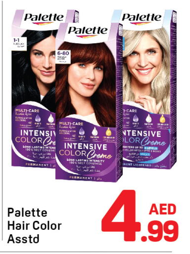 PALETTE Hair Colour  in Day to Day Department Store in UAE - Dubai