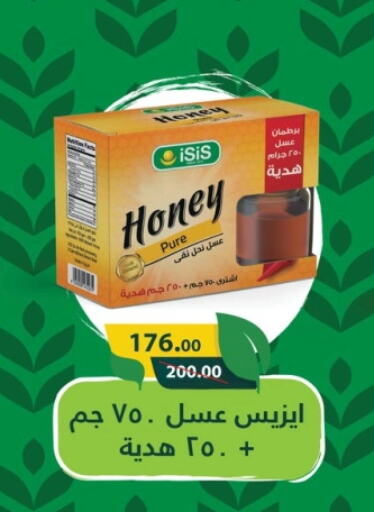  Honey  in El-Hawary Market in Egypt - Cairo