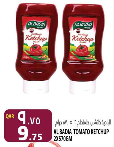  Tomato Ketchup  in Marza Hypermarket in Qatar - Doha