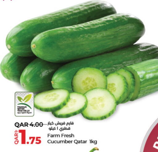  Cucumber  in LuLu Hypermarket in Qatar - Doha