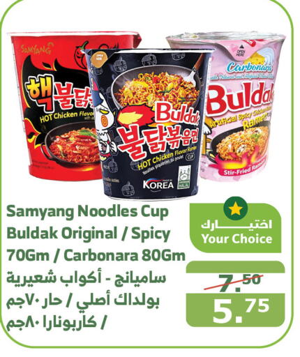  Instant Cup Noodles  in Al Raya in KSA, Saudi Arabia, Saudi - Bishah