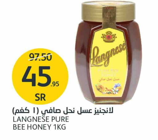  Honey  in AlJazera Shopping Center in KSA, Saudi Arabia, Saudi - Riyadh