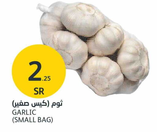  Garlic  in AlJazera Shopping Center in KSA, Saudi Arabia, Saudi - Riyadh