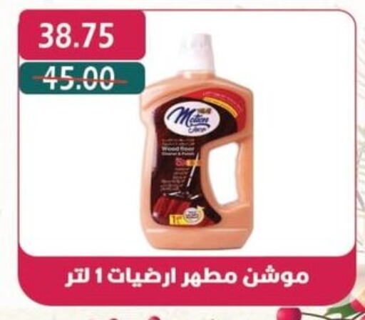  Disinfectant  in Bashayer hypermarket in Egypt - Cairo