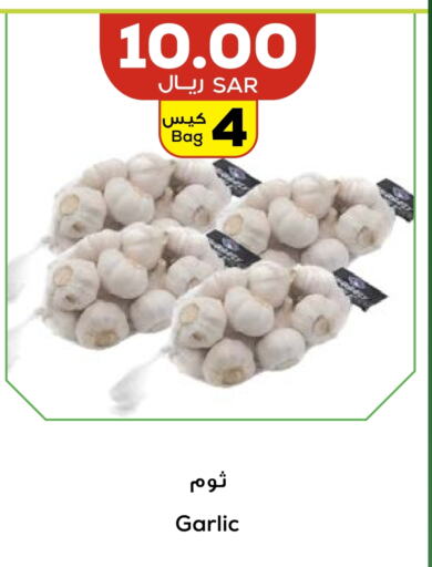  Garlic  in Astra Markets in KSA, Saudi Arabia, Saudi - Tabuk