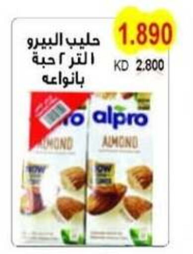  Flavoured Milk  in Salwa Co-Operative Society  in Kuwait - Ahmadi Governorate