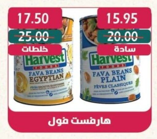  Fava Beans  in Bashayer hypermarket in Egypt - Cairo