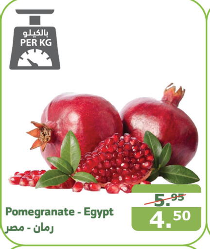  Pomegranate  in Al Raya in KSA, Saudi Arabia, Saudi - Bishah