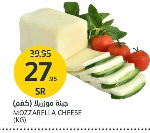  Mozzarella  in AlJazera Shopping Center in KSA, Saudi Arabia, Saudi - Riyadh