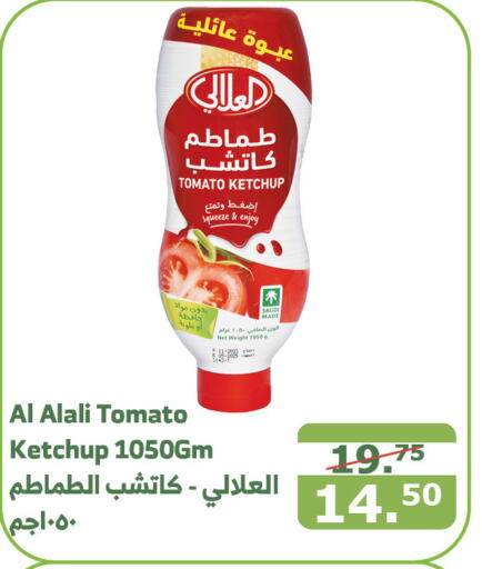 AL ALALI Tomato Ketchup  in Al Raya in KSA, Saudi Arabia, Saudi - Yanbu