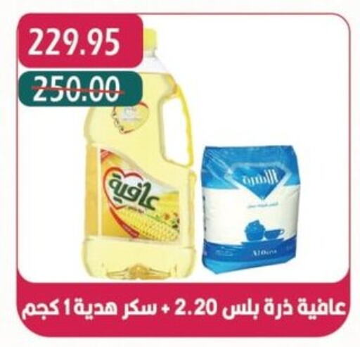 AFIA   in Bashayer hypermarket in Egypt - Cairo