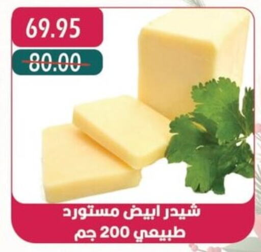  Cheddar Cheese  in Bashayer hypermarket in Egypt - Cairo