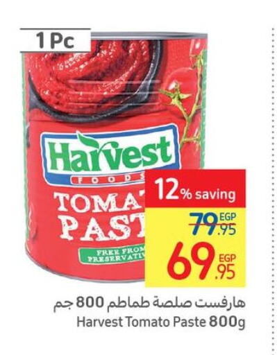  Tomato Paste  in Carrefour  in Egypt - Cairo