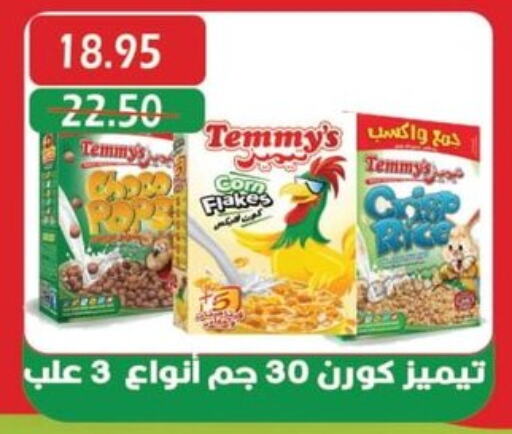 TEMMYS Corn Flakes  in Bashayer hypermarket in Egypt - Cairo